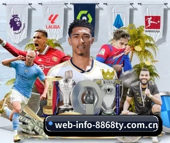 web-info-8868ty.com.cn APP